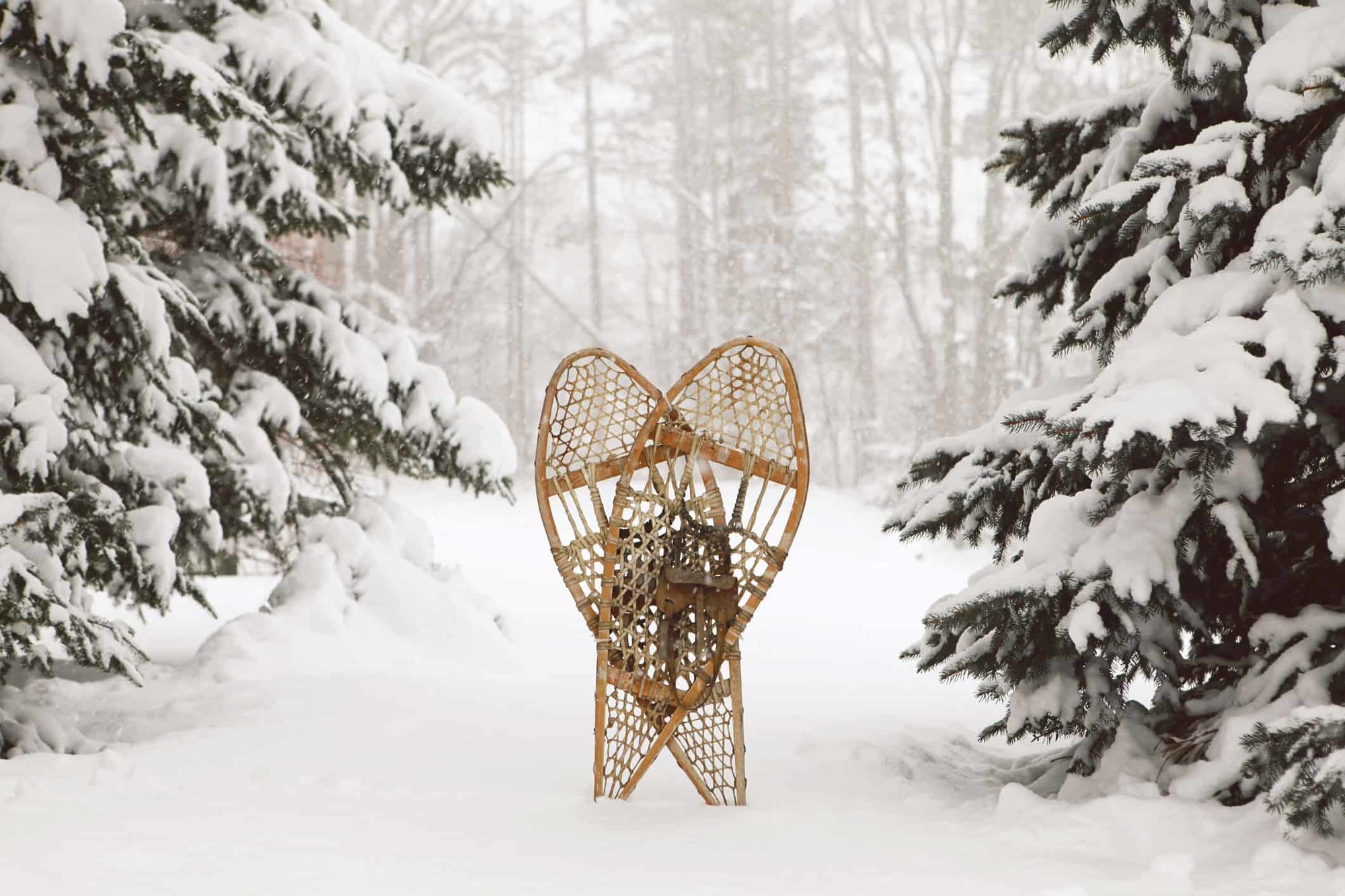 Snowshoe The Catskills | Where To Rent Snowshoes photo